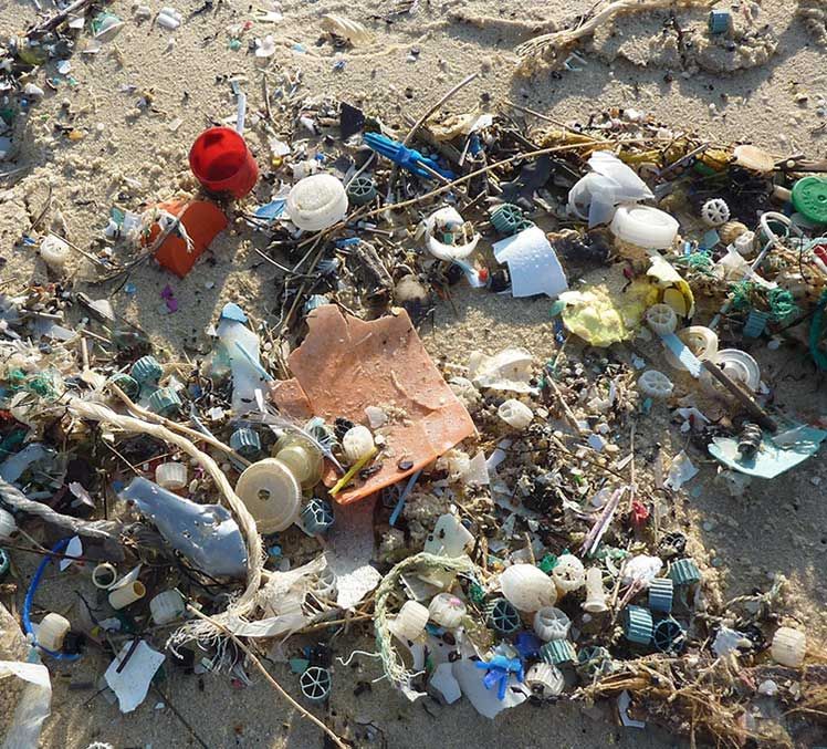 Il 95% dei rifiuti marini è plastica