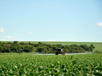 I biocarburanti emettono più CO2 a livello globale rispetto ai combustibili fossili che sostituiscono: lo studio