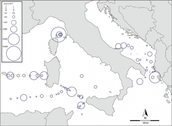 Mappa delle microplastiche nel Mediterraneo