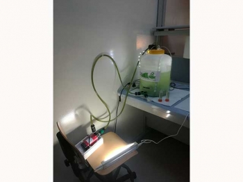 Crescita algale Beelab